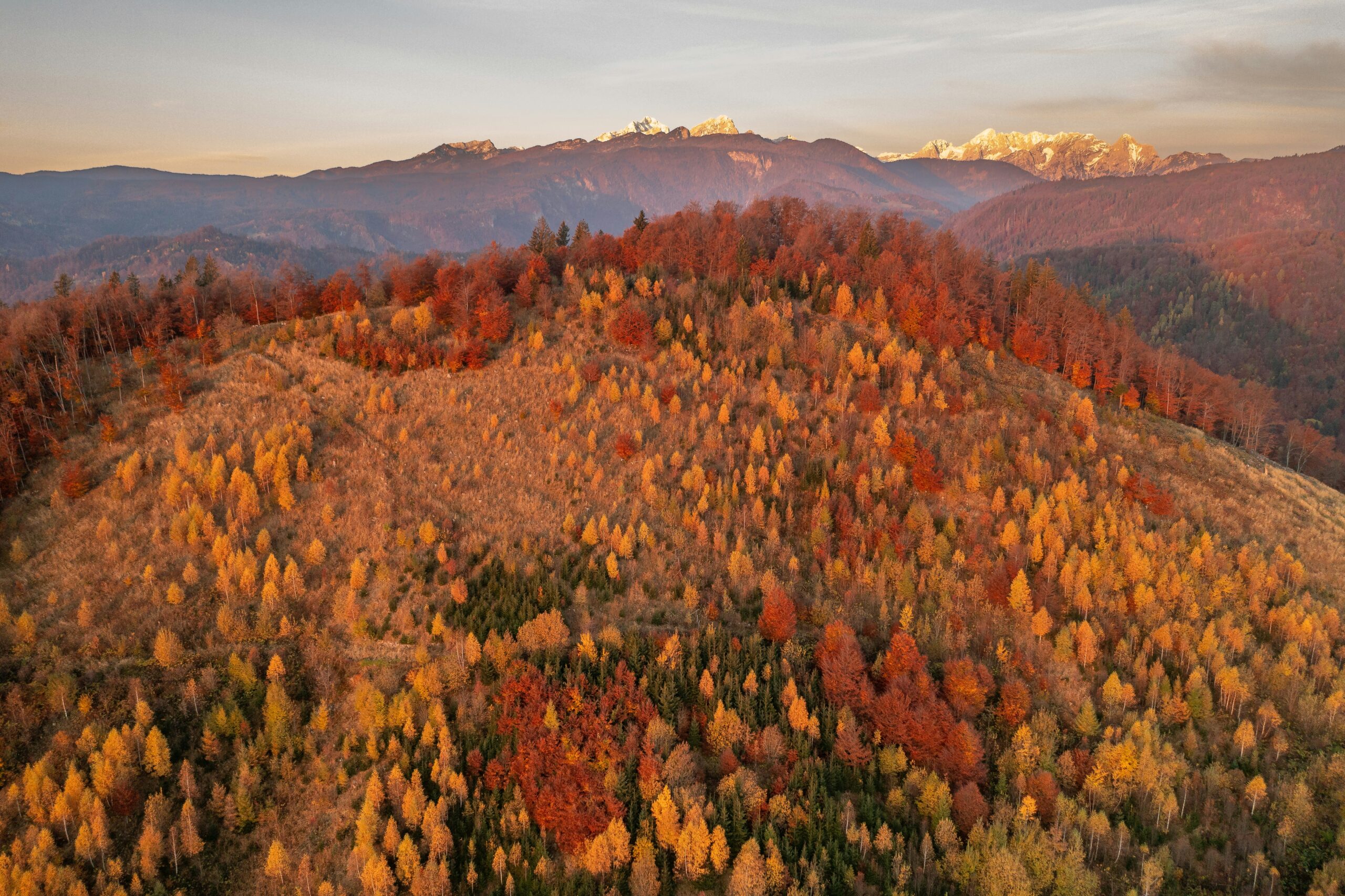 Ways to Make Your House Cozy for Fall Showings